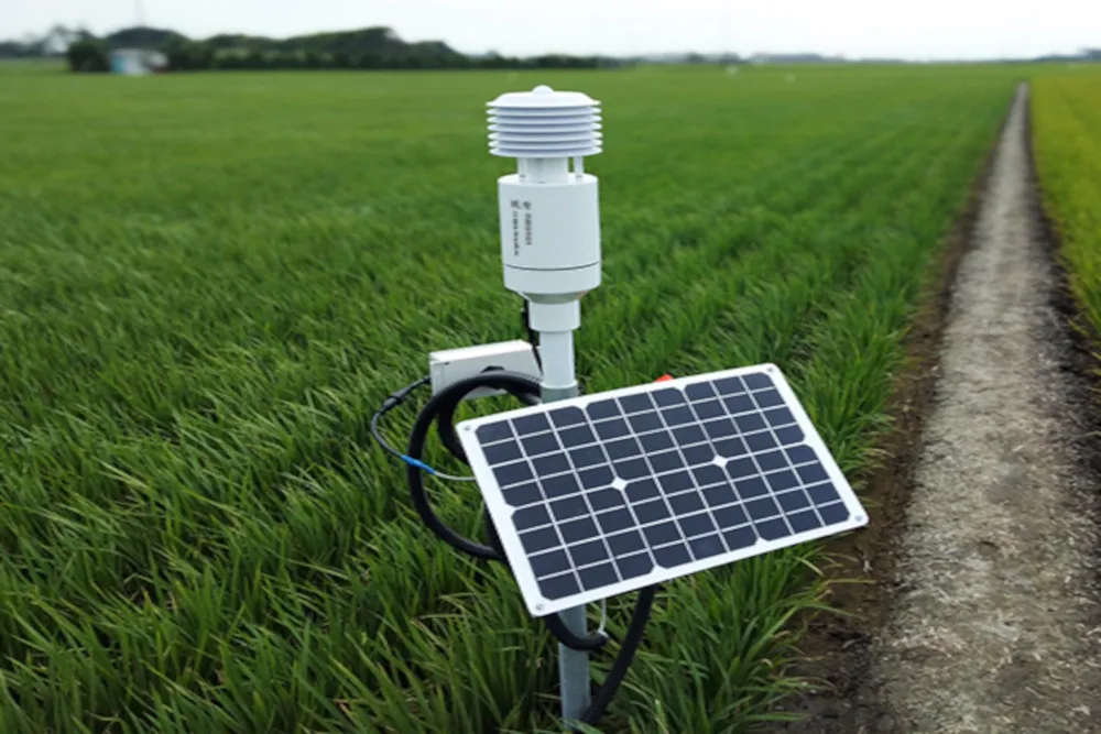 A solar-powered environmental sensor in an agricultural field