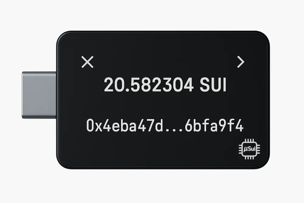 Concept of a small hardware wallet displaying a Sui balance
